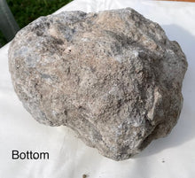 Load image into Gallery viewer, Celestite Crystal Natural Rough