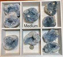 Load image into Gallery viewer, Celestite Crystal Rough Raw Stone Small Medium Each