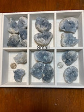 Load image into Gallery viewer, Celestite Crystal Rough Raw Stone Small Medium Each