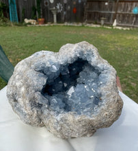Load image into Gallery viewer, Celestite Crystal Natural Rough
